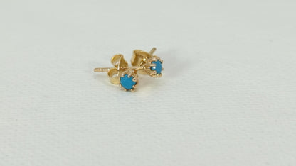 Turquoise & Gold Earrings